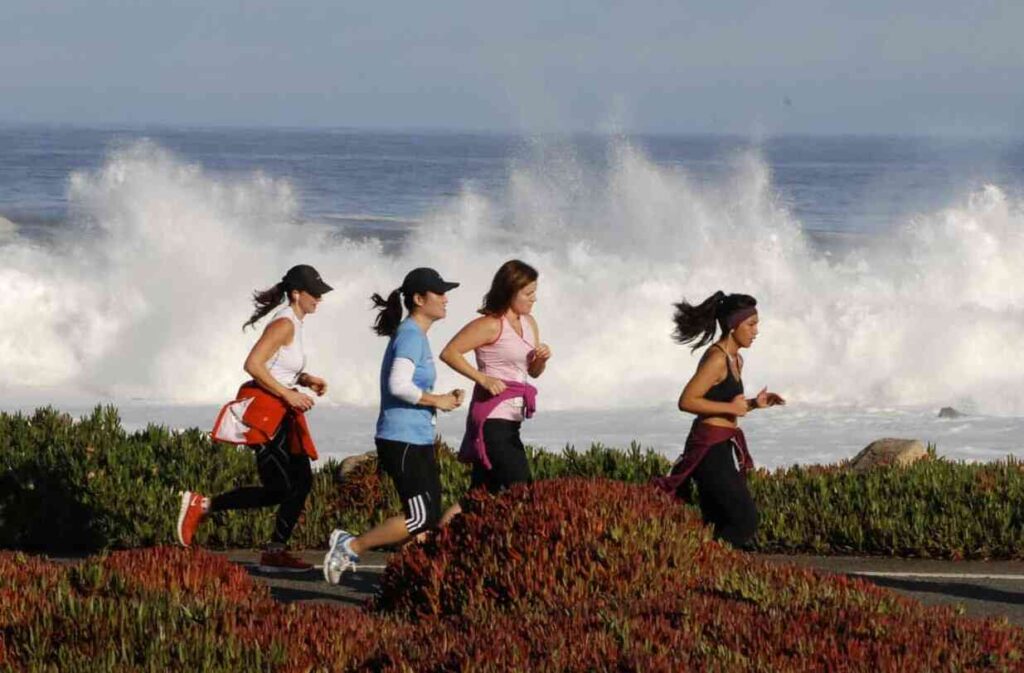 Runners in vibrant athletic wear racing along the scenic coastal route of the Monterey Bay Half Marathon.
