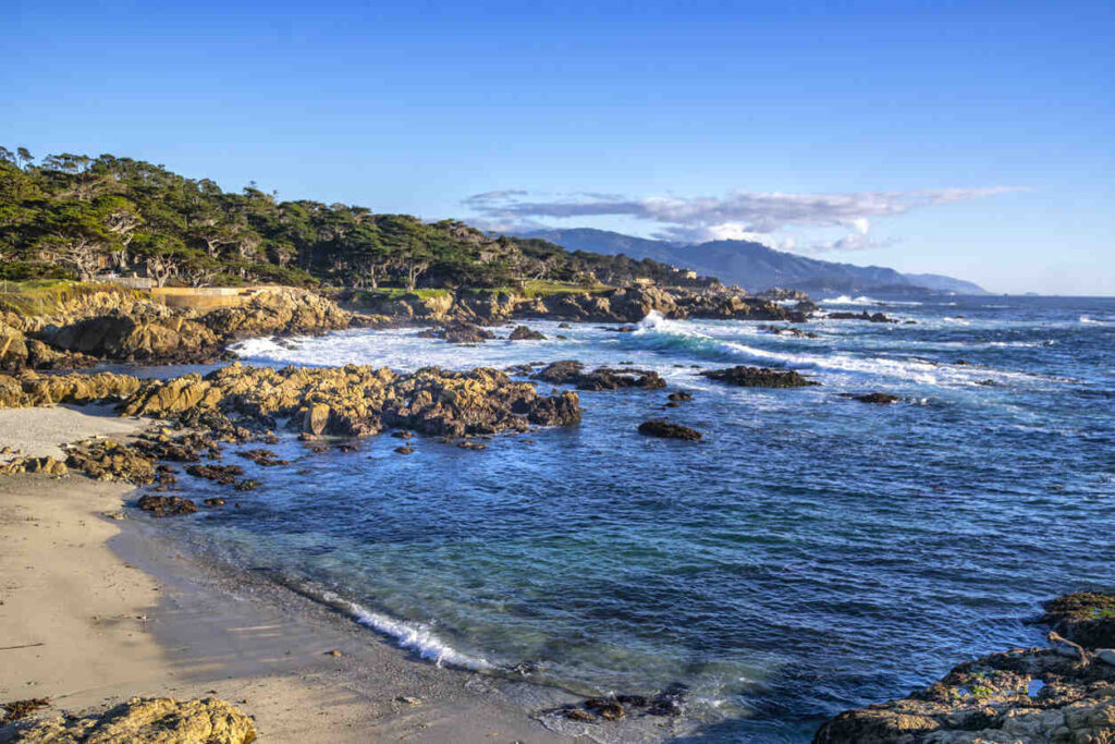 Rocky shores and wildflowers at Garrapata State Park, overlooking the azure Pacific Ocean. monterey beach